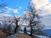 Anello Zuc de Valmana, Canti, Tre Faggi da Fuipiano-18genn25- FOTOGALLERY